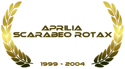 storia scarabeo rotax