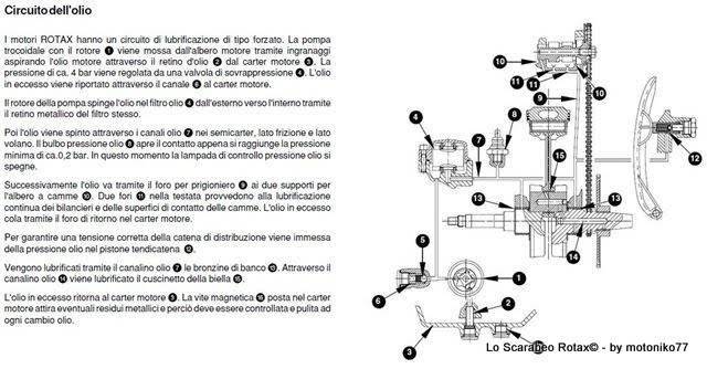 schema distribuzione scarabeo rotax