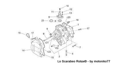 blow-by scarabeo rotax