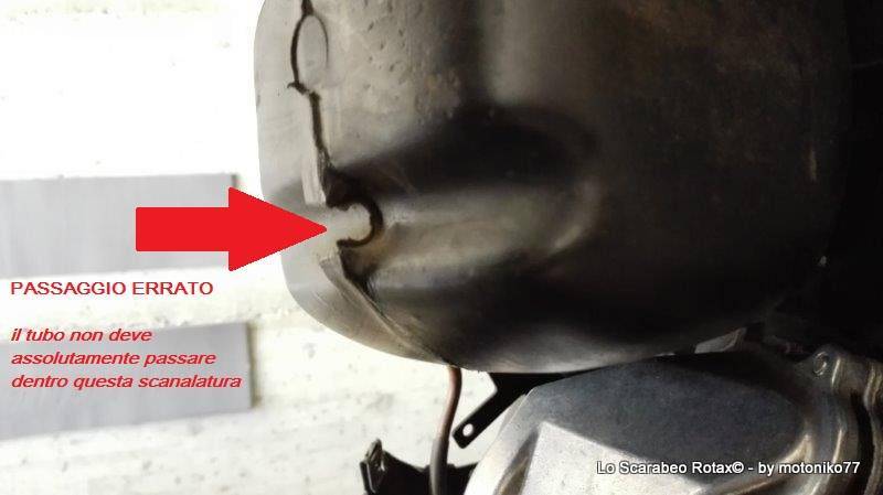 circuito depressore scarabeo rotax