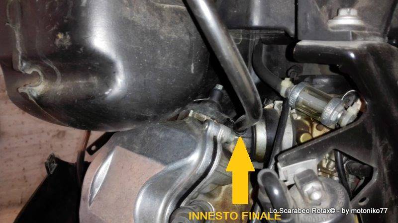 circuito depressore scarabeo rotax