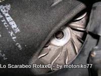 variatore scarabeo rotax
