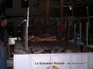 Sinedares