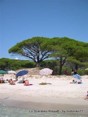 Palombaggia