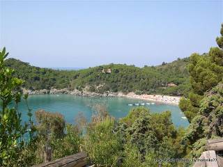 spiaggia isola d'elba