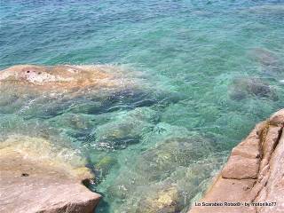 spiaggia isola d'elba