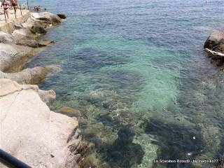 spiaggia isola d'elba