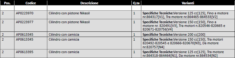 versione cilindro scarabeo rotax 125 150 200