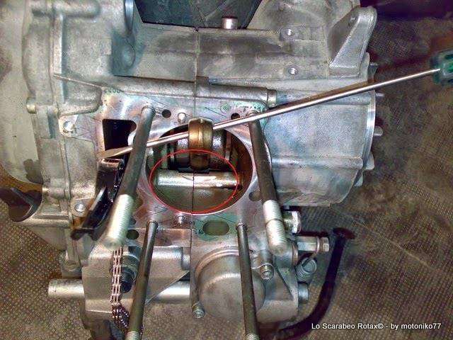 carter motore scarabeo rotax 125 150 200