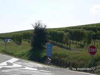 langhe