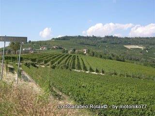 langhe