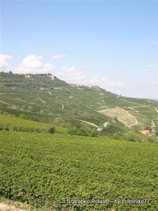 langhe