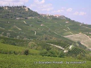 langhe