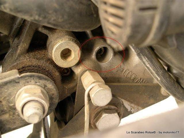 perno liquido antigelo scarabeo rotax 125 150 200