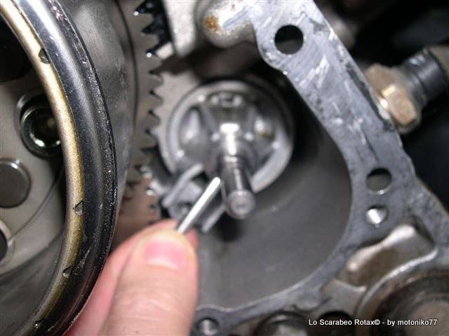 pompa acqua Scarabeo Rotax 125 150 200