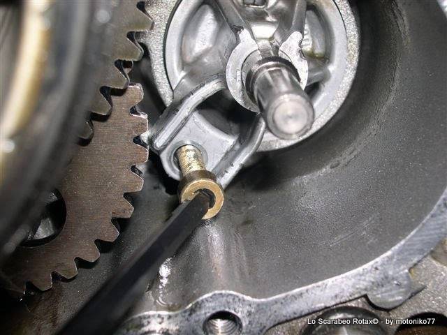 pompa acqua Scarabeo Rotax 125 150 200