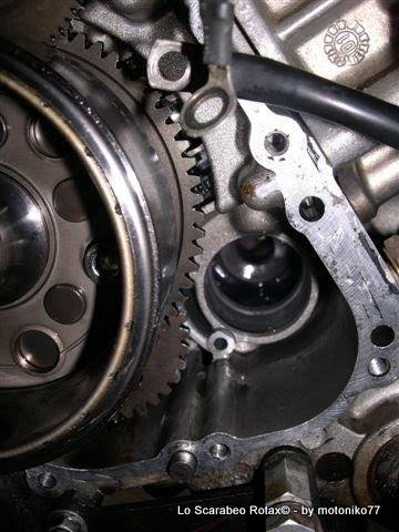 pompa acqua Scarabeo Rotax 125 150 200