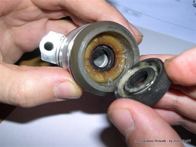 paraolio pompa acqua Scarabeo Rotax 125 150 200