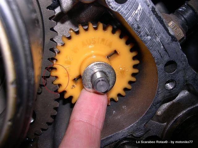 pompa acqua Scarabeo Rotax 125 150 200