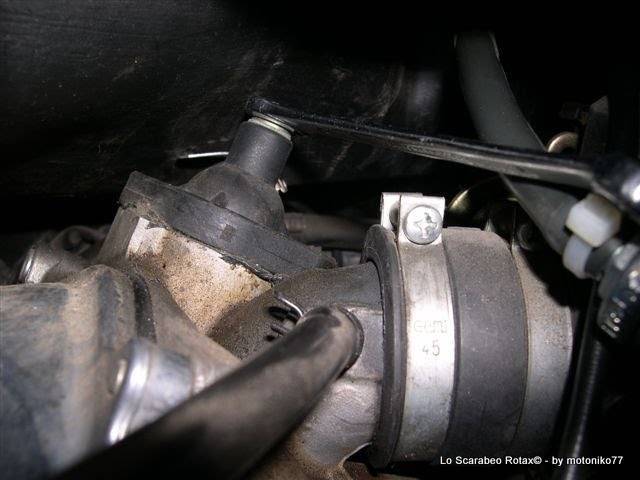 spurgo liquido antigelo Scarabeo Rotax 125 150 200