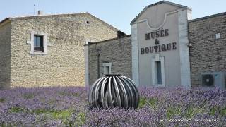 museo della lavanda Coustellet