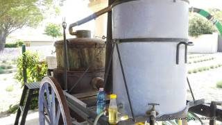 museo della lavanda Coustellet