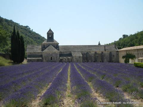 Abbazia di Senanque