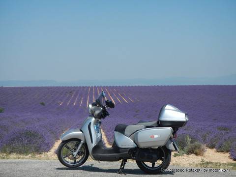 altopiano di Valensole