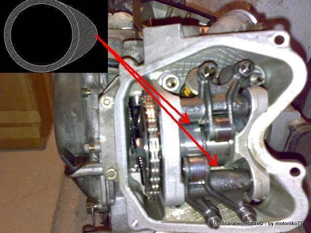 PMS scarabeo rotax