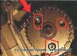PMS scarabeo rotax