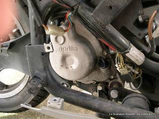 carter volano scarabeo rotax 125 150 200