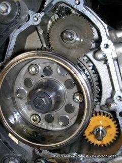 carter volano scarabeo rotax 125 150 200