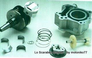 motore rotax 125 leonardo