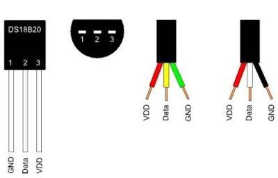 pinout DS18B20